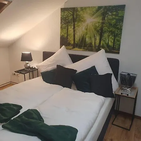 Waterfalls Apartment Triberg im Schwarzwald Exterior photo